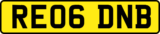 RE06DNB