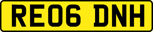 RE06DNH