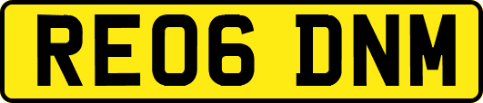 RE06DNM