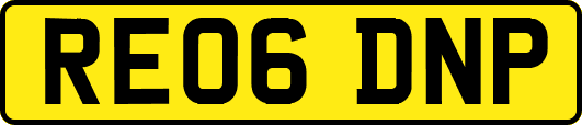 RE06DNP