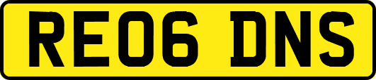 RE06DNS