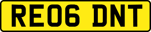 RE06DNT
