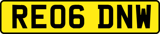 RE06DNW