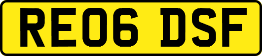 RE06DSF