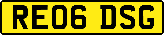 RE06DSG