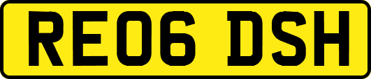 RE06DSH