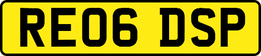 RE06DSP
