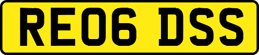 RE06DSS