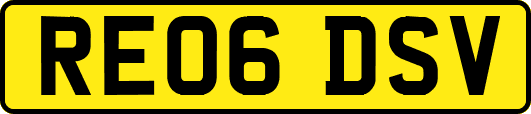 RE06DSV