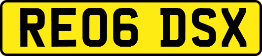 RE06DSX