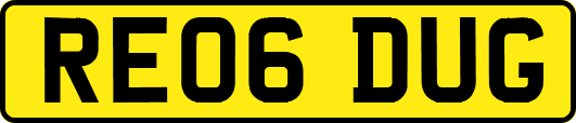 RE06DUG