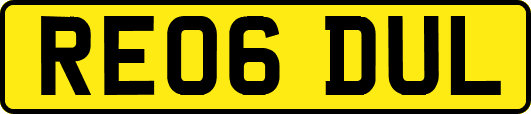 RE06DUL