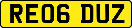 RE06DUZ