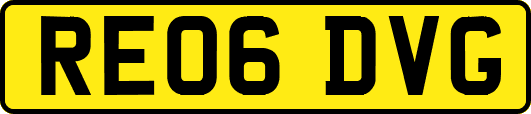 RE06DVG