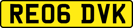RE06DVK