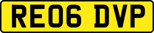RE06DVP