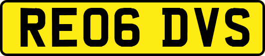 RE06DVS