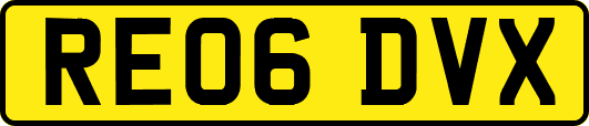 RE06DVX