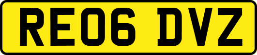 RE06DVZ