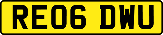 RE06DWU