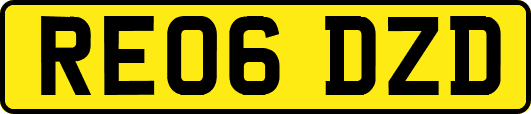 RE06DZD