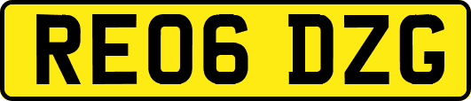 RE06DZG