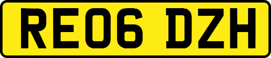 RE06DZH