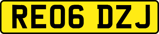RE06DZJ