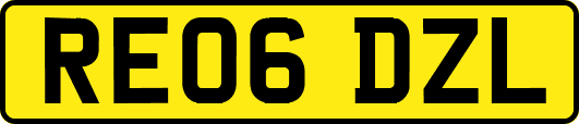 RE06DZL