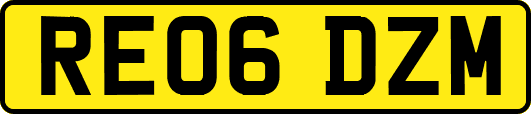 RE06DZM