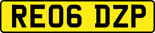 RE06DZP