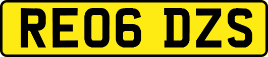 RE06DZS