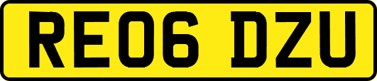 RE06DZU