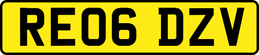 RE06DZV