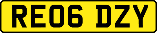 RE06DZY