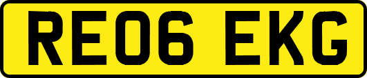 RE06EKG