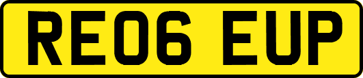 RE06EUP