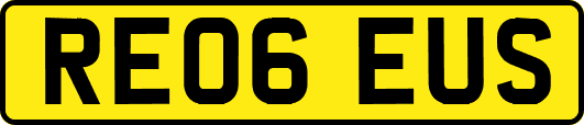 RE06EUS