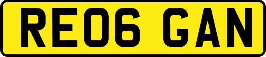 RE06GAN