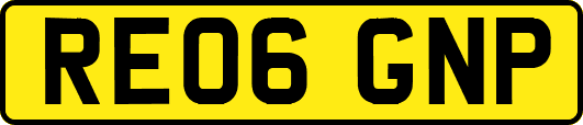 RE06GNP