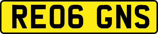 RE06GNS