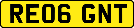 RE06GNT