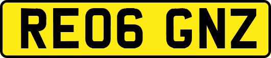 RE06GNZ
