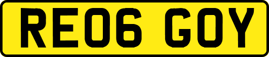 RE06GOY