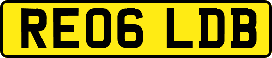 RE06LDB