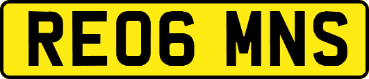 RE06MNS