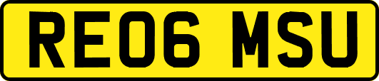 RE06MSU