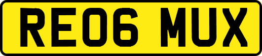 RE06MUX