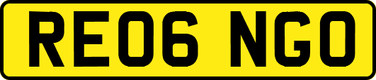 RE06NGO