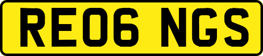 RE06NGS